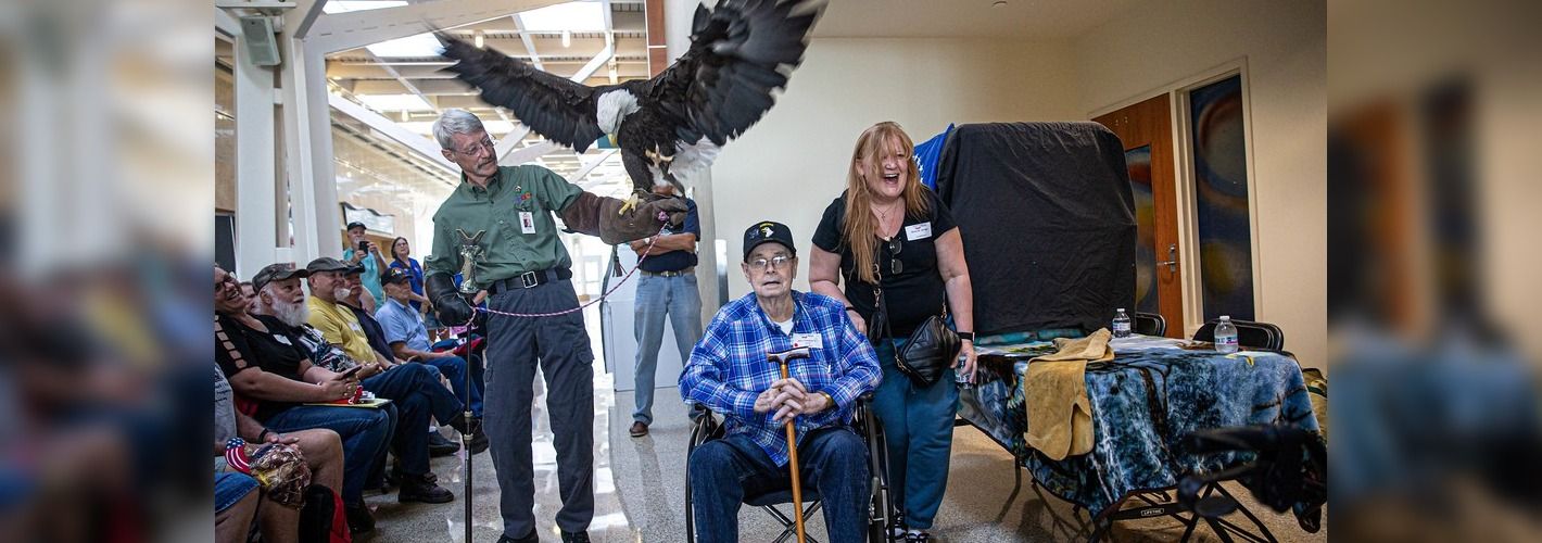 Bald eagle spreading wings at an Honor Flight orientation